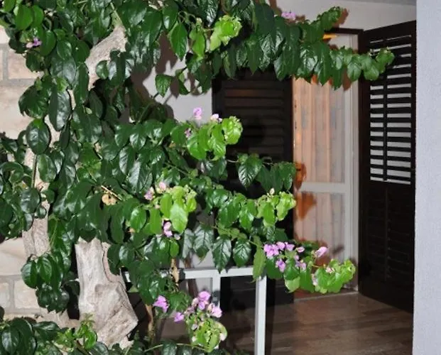 Apartman Apartments Medulin Medulin