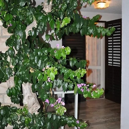 Apartment Apartments Medulin Medulin